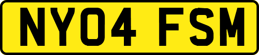 NY04FSM