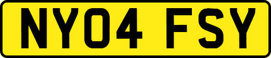 NY04FSY