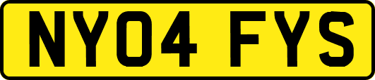 NY04FYS