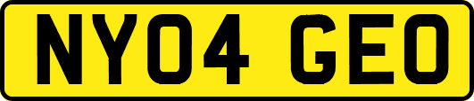 NY04GEO