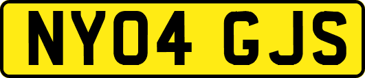NY04GJS