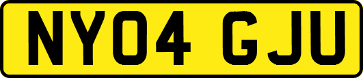 NY04GJU