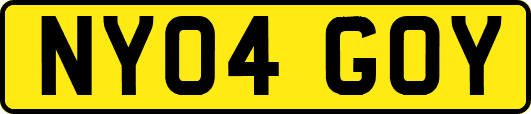 NY04GOY