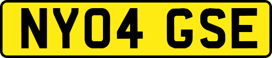NY04GSE