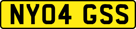 NY04GSS