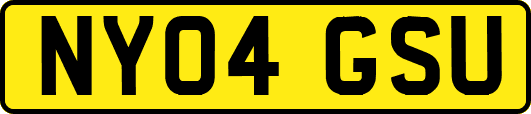 NY04GSU