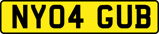NY04GUB