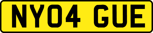 NY04GUE