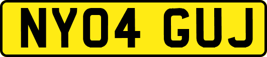 NY04GUJ