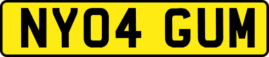 NY04GUM