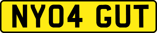NY04GUT
