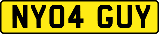 NY04GUY