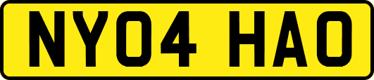 NY04HAO