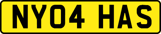 NY04HAS