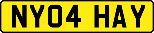 NY04HAY