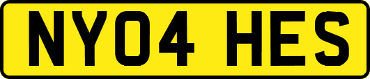 NY04HES