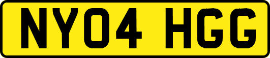 NY04HGG