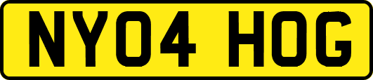 NY04HOG