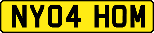 NY04HOM