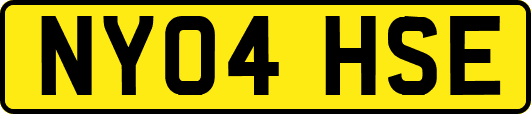 NY04HSE