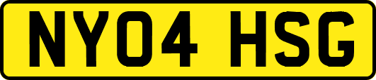 NY04HSG