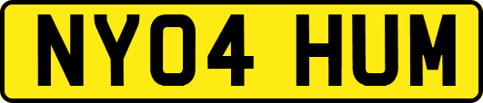 NY04HUM