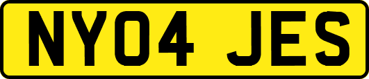 NY04JES