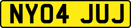 NY04JUJ