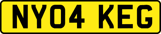 NY04KEG