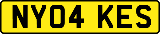 NY04KES