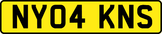 NY04KNS