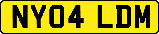 NY04LDM