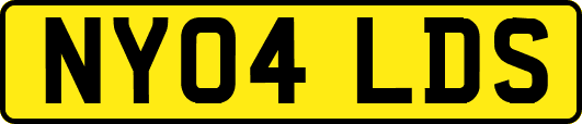 NY04LDS