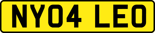 NY04LEO