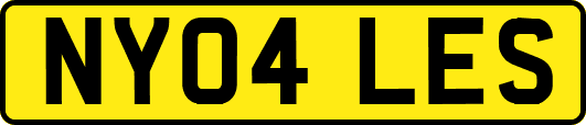 NY04LES