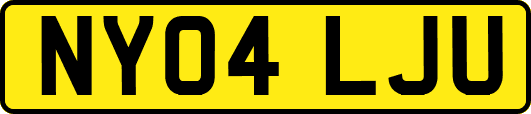 NY04LJU