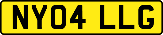 NY04LLG