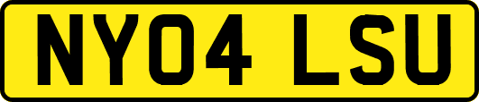 NY04LSU