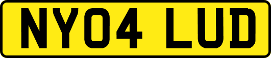 NY04LUD