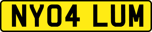 NY04LUM
