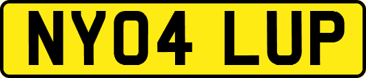 NY04LUP
