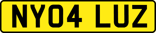 NY04LUZ