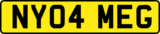 NY04MEG