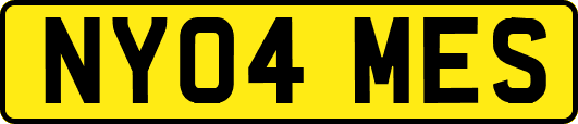 NY04MES
