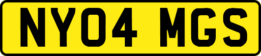 NY04MGS