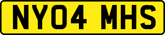 NY04MHS