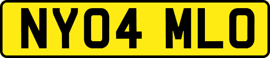 NY04MLO