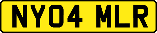 NY04MLR