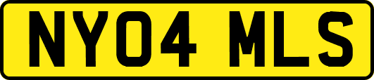 NY04MLS