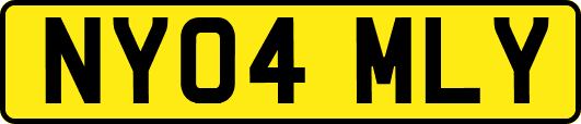 NY04MLY